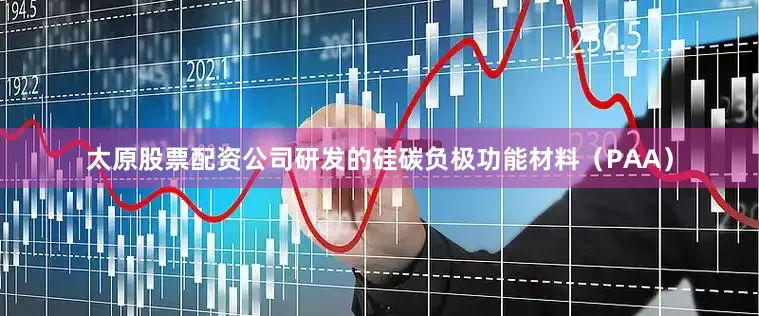 太原股票配资公司研发的硅碳负极功能材料（PAA）
