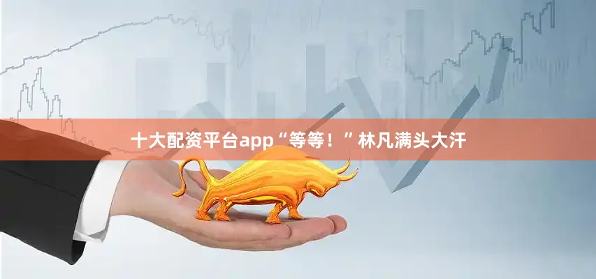 十大配资平台app“等等！”林凡满头大汗