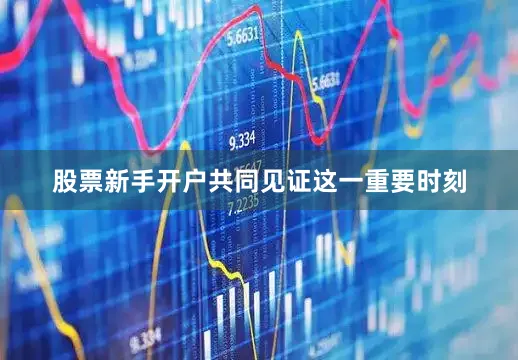 股票新手开户共同见证这一重要时刻